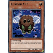 LED6-FR017 Kuriboh Ailé Commune