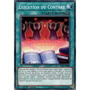 IGAS-FR084 Exécution du Contrat Commune