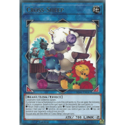 IGAS-EN047 Cross-Sheep Rare