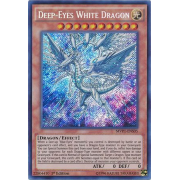 MVP1-ENS05 Deep-Eyes White Dragon Secret Rare