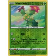 SS01_007/202 Maracachi Inverse