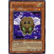 DP1-EN005 Winged Kuriboh Rare