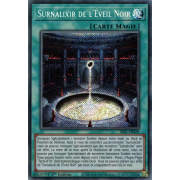 SESL-FR029 Surnalixir de l'Éveil Noir Secret Rare