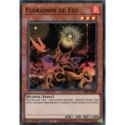 SESL-FR040 Floraison de Feu Super Rare