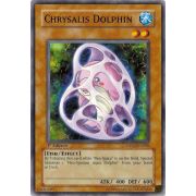 DP03-EN008 Chrysalis Dolphin Commune