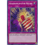 SESL-EN012 Adamancipator Relief Secret Rare