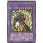 DP03-EN010 Elemental HERO Wildedge Rare