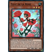 ETCO-FR081 Fille de la Rose Super Rare