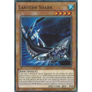 ETCO-EN018 Lantern Shark Commune