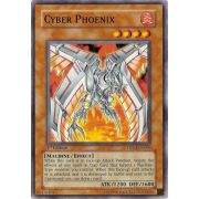 DP04-EN006 Cyber Phoenix Commune