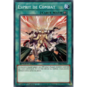 SS04-FRA24 Esprit de Combat Commune