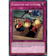 SS04-FRA30 Élimination par Catégorie Commune