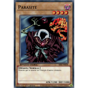 SS05-FRA04 Parasite Commune