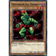 SS05-FRB06 Prisonnier des Ténèbres Commune