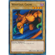 SS05-ENA05 Whiptail Crow Commune