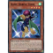 TOCH-FR002 Dame Harpie Toon Super Rare