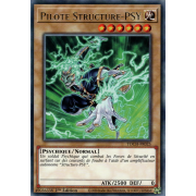 TOCH-FR025 Pilote Structure-PSY Rare
