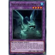 TOCH-FR049 Boudragon des Marais Rare