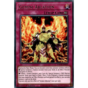 TOCH-EN019 Gemini Ablation Rare