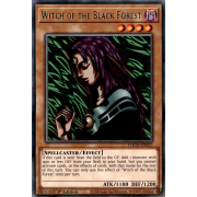 TOCH-EN027 Witch of the Black Forest Rare