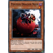 LDS1-FR002 Poussin Dragon Noir Commune