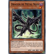 LDS1-FR008 Dragon de Métal Noir Commune
