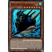 LDS1-FR027 Baleine Citadelle Ultra Rare (Vert)