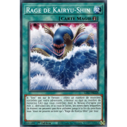 LDS1-FR028 Rage de Kairyu-Shin Commune