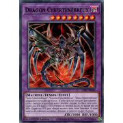 LDS1-FR036 Dragon Cyberténébreux Commune