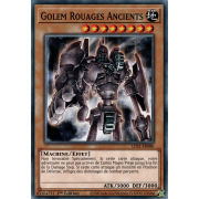 LDS1-FR080 Golem Rouages Ancients Commune