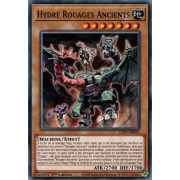 LDS1-FR083 Hydre Rouages Ancients Commune