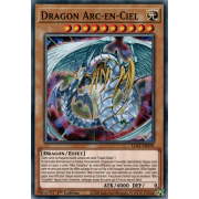 LDS1-FR099 Dragon Arc-en-Ciel Commune