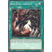 LDS1-EN019 Red-Eyes Insight Commune