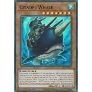 LDS1-EN027 Citadel Whale Ultra Rare (Bleu)