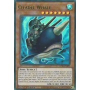 LDS1-EN027 Citadel Whale Ultra Rare (Vert)