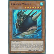 LDS1-EN027 Citadel Whale Ultra Rare (Violet)