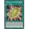 LDS1-EN073 Cocoon of Ultra Evolution Secret Rare