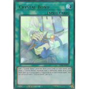 LDS1-EN112 Crystal Bond Ultra Rare (Vert)