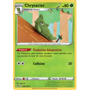 SS02_002/192 Chrysacier Peu commune