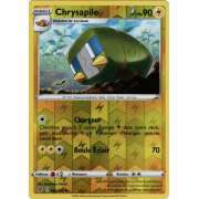 SS02_065/192 Chrysapile Inverse