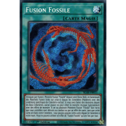 BLAR-FR011 Fusion Fossile Secret Rare