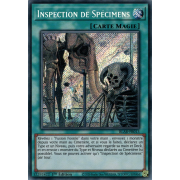 BLAR-FR013 Inspection de Spécimens Secret Rare