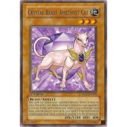 DP07-EN002 Crystal Beast Amethyst Cat Rare