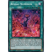 BLAR-FR026 Réseau Numeron Secret Rare