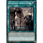 BLAR-EN013 Specimen Inspection Secret Rare