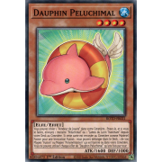 ROTD-FR021 Dauphin Peluchimal Commune