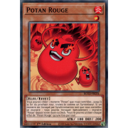 ROTD-FR034 Potan Rouge Commune