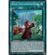 ROTD-FR061 Amis Inflexcipateur Secret Rare