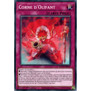 ROTD-FR072 Corne d'Olifant Commune