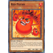 ROTD-EN034 Red Potan Commune